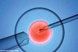 陳明瑜